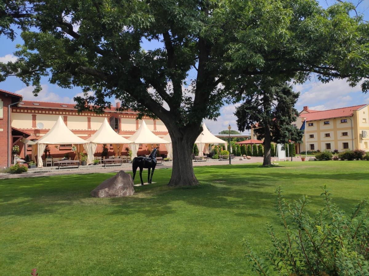 Hotel Sandro Silver & Spichlerz Antoniny Leszno  Bagian luar foto