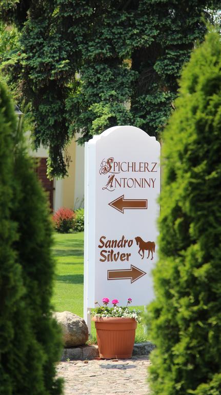 Hotel Sandro Silver & Spichlerz Antoniny Leszno  Bagian luar foto
